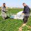 Top quality Gasoline 2-man Parsley Harvesting Machine