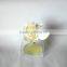 Natural,High-Quality Aroma Flower Diffuser Of Mini Glass Bottle In Air Fresheners
