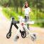 electric bicycle lici