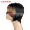 Cheap wholesale factory 100% human hair silk base full lace wig