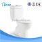 Washdown floor outlet 250 mm ceramic toilet pot
