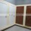 painting natural veneer door