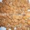 Supply with Chinese Bulk Sweet Apricot Kernels Youyi Type with good quality for Sales