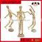 High quality popular wholesale wooden mannequin