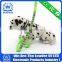 2015 Hot Selling Luminous Collars and Leashes For Dogs