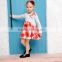 New style hot selling baby girl fashion design long sleeve dress