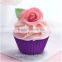 round cup shape DIY baking silicone cake cup liners cupcake mold