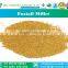 Foxtail Millet from India