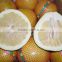 Citrus Honey Pomelo Fruit Fujian Origin