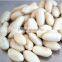 Shandong good quality blanched peanut