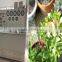 SOLVENT EXTRACTION PLANT FOR SPICE AND AROMATIC OILS