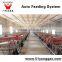 Gavanized Feeding line for Pig Auto. Feeding system Auger feeding line