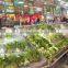 Industrial ultrasonic greenhouse humidifier machine