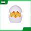 LED touching sensor night light and Egg shape table night lamp