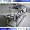 dehydrated vegetable processing dried fruit production line