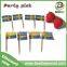 Food Promotional Custom Flag Toothpick