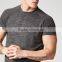 Men's Performance Short Sleeve Top Polyester Spandex Dry Fit T Shirt Raglan Sleeve Sports T Shirt Wholesale