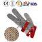 Chain Mail Protective Glove