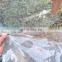 Agricultural Greenhouses Plastic Shed Film for Strawberry /covering Film for Tomato Grapes