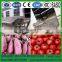 Leafy vegetable washer/salad vegetable washing machine/lettuce washing machine