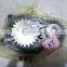 Apply For Engine Low Pressur Electr Oil Pump  100% New Grey Color