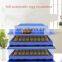 60 mini poultry egg incubator for sale/egg hatching machine/120 eggs incubator for chicken, quail, duck eggs