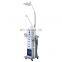 19 in 1 multifunction dermabrasion facial steamer ultrasonic skin scrubber beauty salon equipment