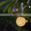 new style Solar-powered rattan balls decorate night lamp lights for outdoor hanging