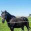 pasture electric fence accessories electric polytape webbing