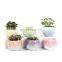 Macaron plant pot small fresh coarse pottery tabletop ceramic flowers with holes