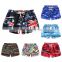 Custom Summer Beach Pants Men's Casual Loose Floral Quick-drying Gym Trunks Boardshorts Unisex Fashion Baggy Surf Beach Shorts/