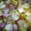 Garlic Ginger Shallot Cutting Machine / Garlic Slicing Machine / Ginger Slicer Machine