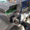 Professional bubble vegetable washer machine automatic industrial fruit washing machine