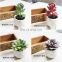 Top Fashion China Wholesale Small Size Artificial Plants With White Pot Gifts Potted Succulents For Desk Decoration