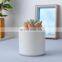 Flower Pots Mini Pottery Wholesale Bonsai Plant Small Indoor Plants Succulent Planter White Ceramic Pot