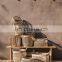 Vietnam Supplier Rectangular Seagrass Storage Basket with Handles Banket Baskets Wholesale
