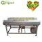 Vegetables processing line/okra processing machine