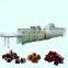 Chocolate Lentils MM beans forming machine