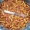 Nameko in brine  A grade