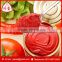 Trustworthy China Supplier ISO Certification 70g tinned/bag tomato paste