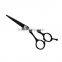 Stainless Steel salon scissors barber shears Professional Hair Cutting Scissors