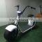 2Wheels Electric Scooters Motorcycle 800W Motor Popular Self Balancing Scooter