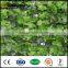 decoration DIY artificial outdoor boxwood fake privacy hedge mat