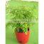 Cheaper Big Round Flower Pots