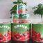 canned tomato paste 800g,sweet taste,brix28%-30%,red colour