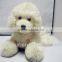 Plush Clothed Soft Girl Dog in Pink Color Poodle Dog