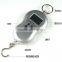 Accurate Protable Hanging Mini Digital Fish Scales