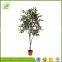 wholesale 2016 true trunk low price artificial banyan tree for indoor decoration