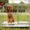 Colored Steel Dog Crate From Professional Manufacturer