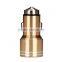 For indian market low price 12V 2A dual port USB car charger